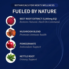 Nitric Oxide & Prostate Health Bundle