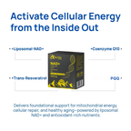 NAD+ Shilajit Prostate Liquid Pack